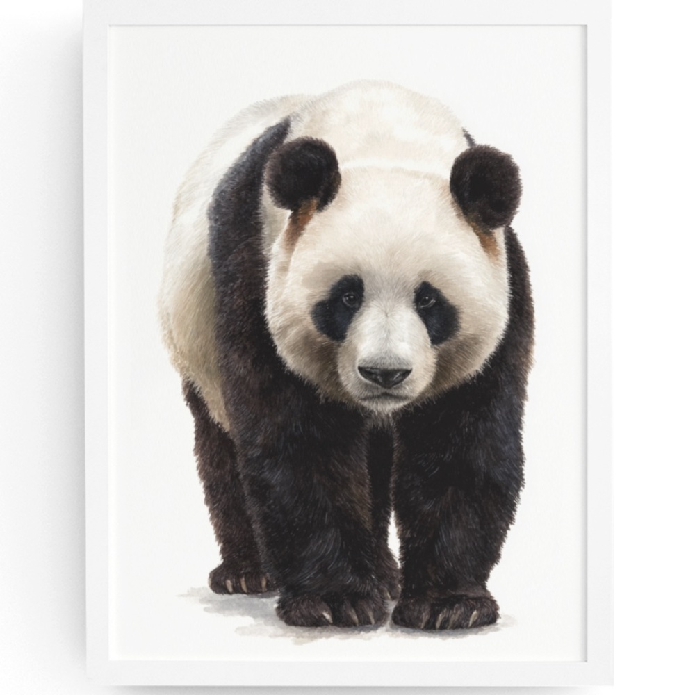 Watercolor Panda Bear Wall Art Print Poster Ilustration - Umframed